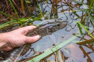 10 Tips for Catch-and-Release Fishing