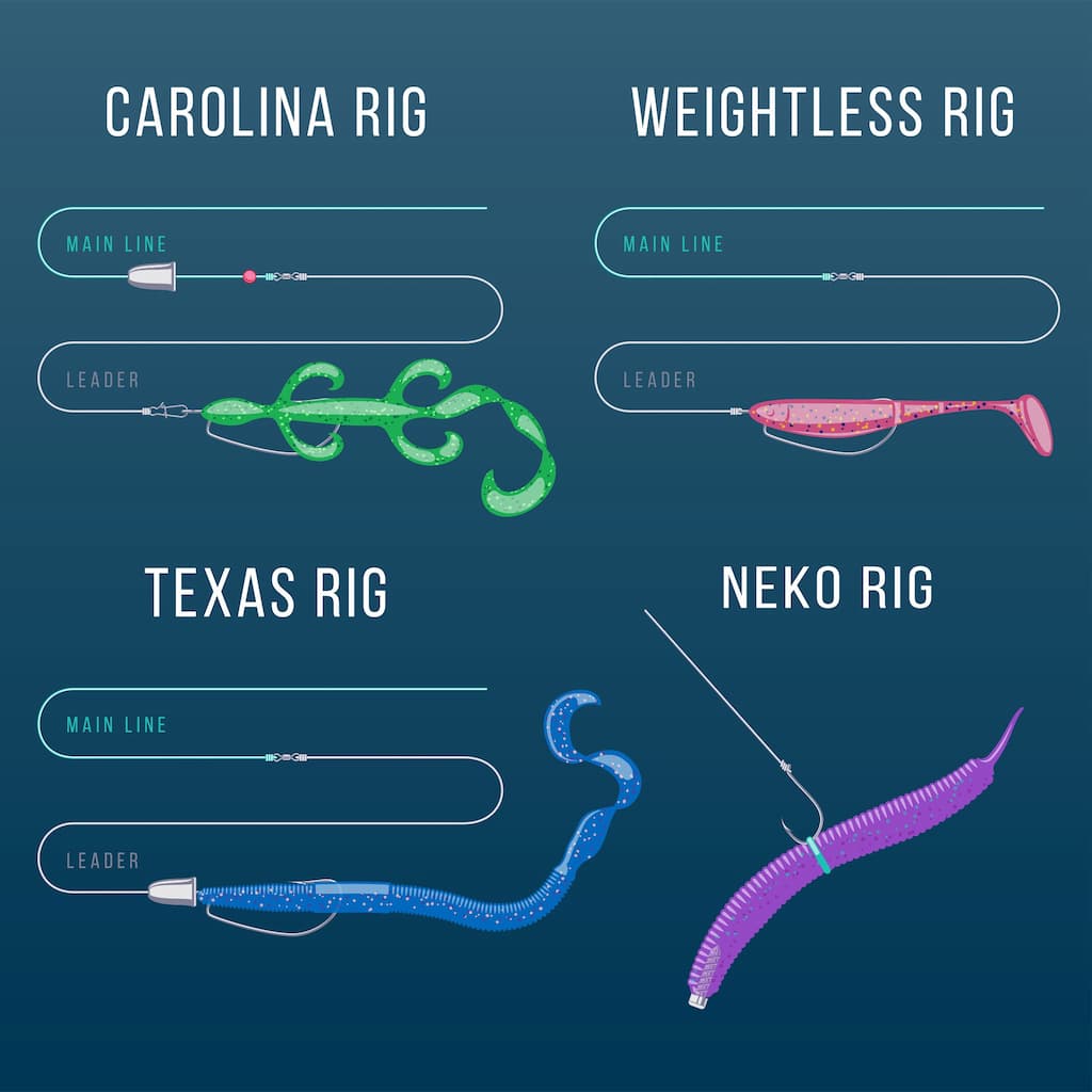 Carolina rig and Texas rig are the most popular rigging techniques - Credit 123RF